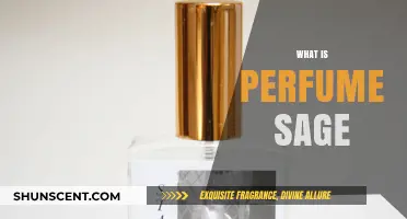 The Magic of Perfume Sages: A Fragrant Garden Wonder