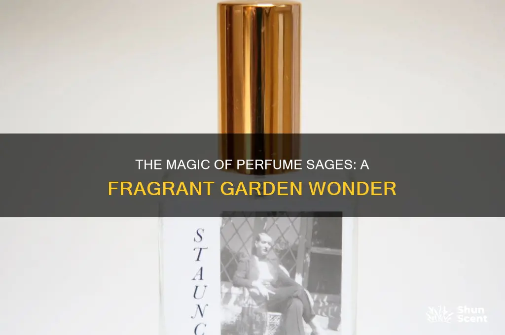 what is perfume sage