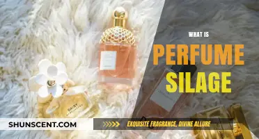 Understanding Sillage: The Art of Perfume Projection