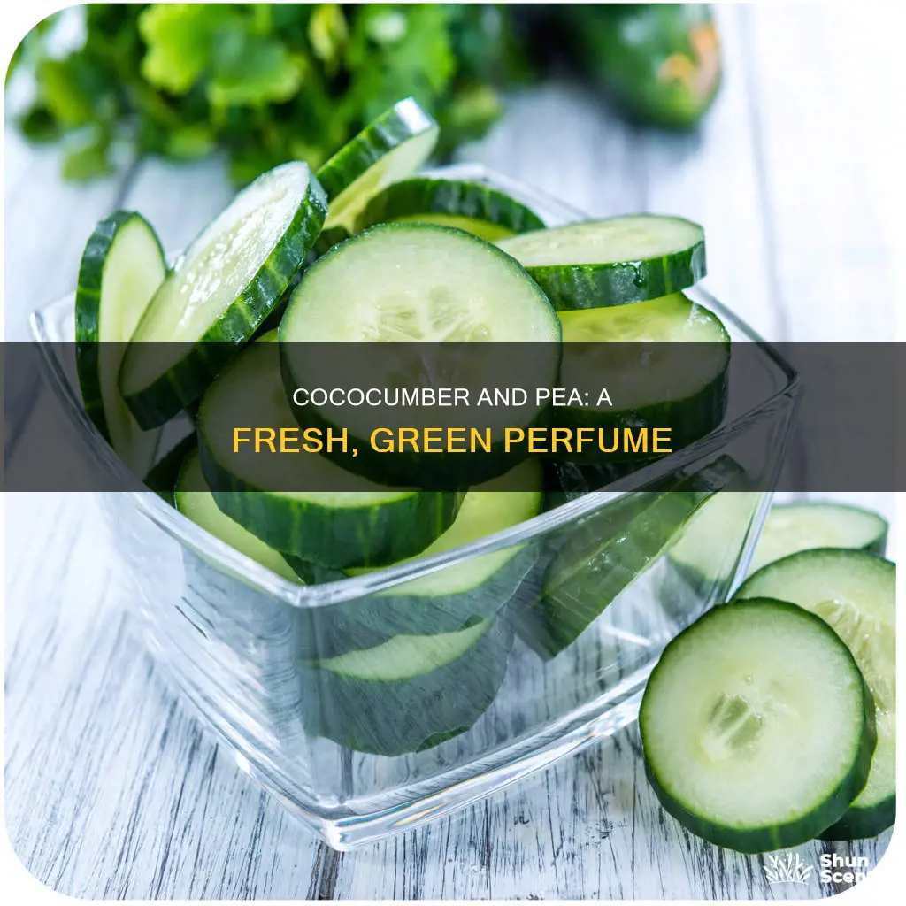 what is perfume smell cococumber and pea