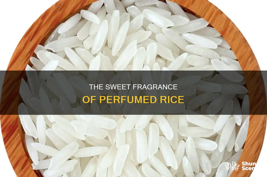 what is perfumed rice