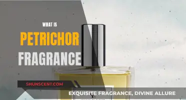 The Petrichor Fragrance: Nature's Gift to Mankind