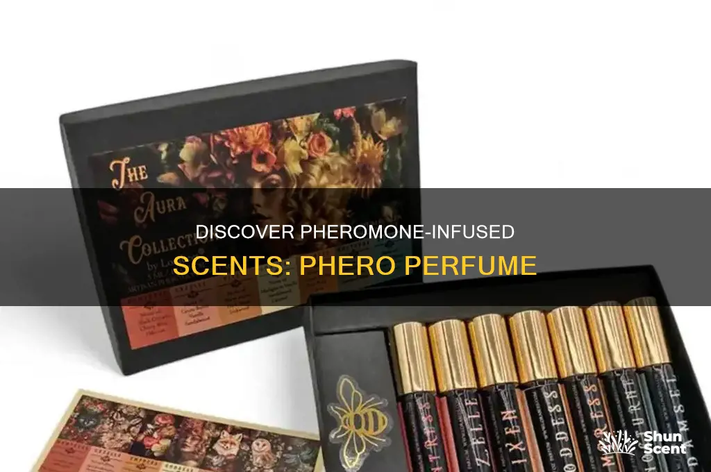 what is phero perfume