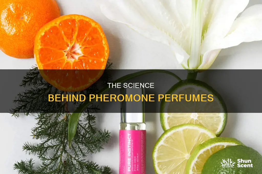 what is pheromone perfume made out of
