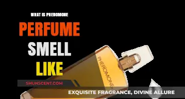 The Magical Scent of Pheromone Perfumes
