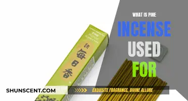 Pine Incense: Its Uses and Benefits