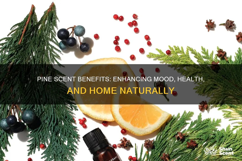 what is pine scent good for