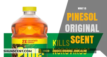 Discover the Fresh, Classic Aroma of Pine-Sol Original Scent