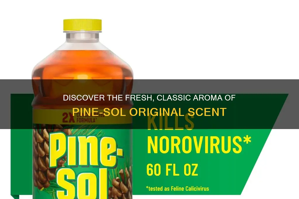 what is pinesol original scent