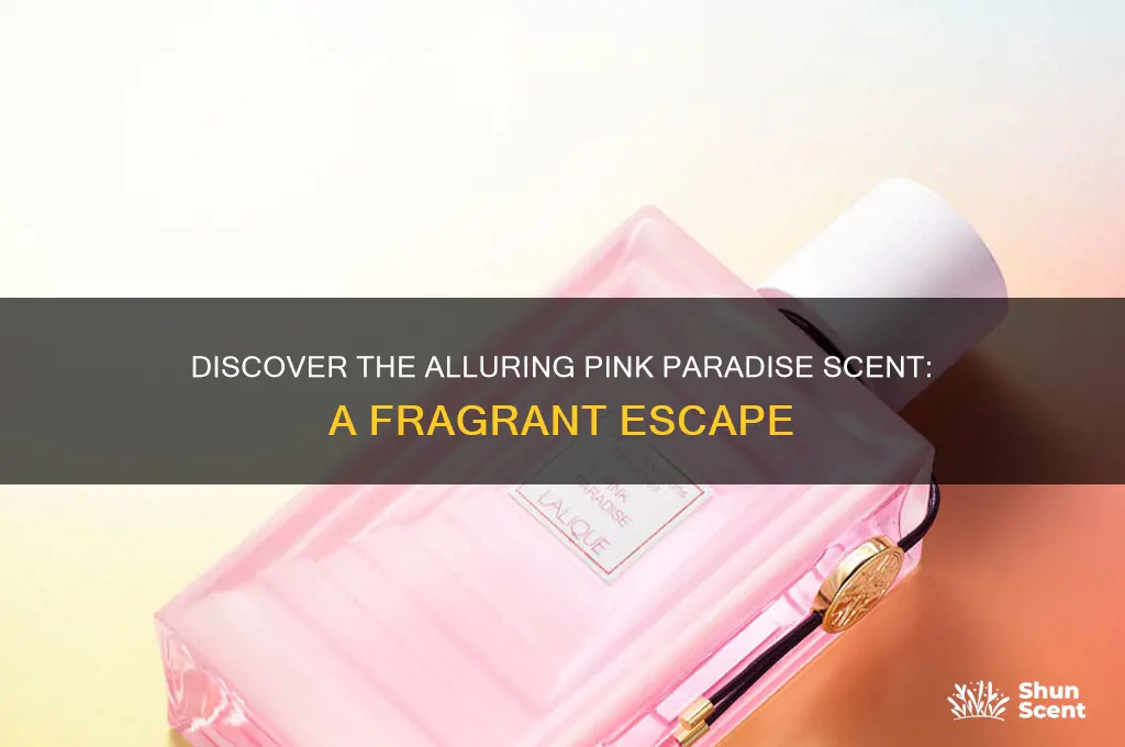 what is pink paradise scent