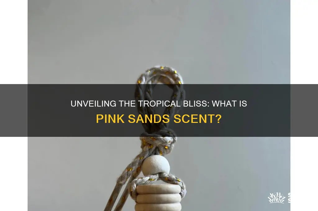 what is pink sands scent