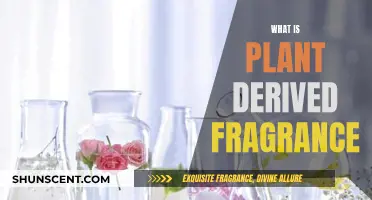 The Natural Scent: Plant-Derived Fragrance Explained