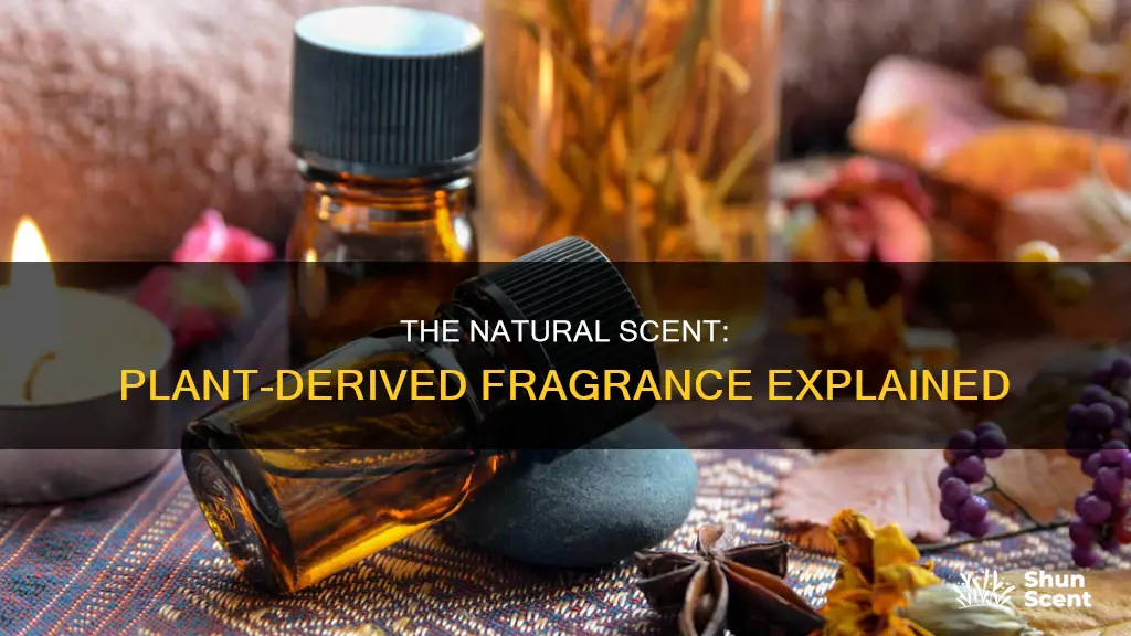 what is plant derived fragrance