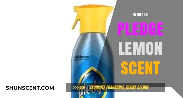 Discover the Freshness: What is Pledge Lemon Scent and Its Uses