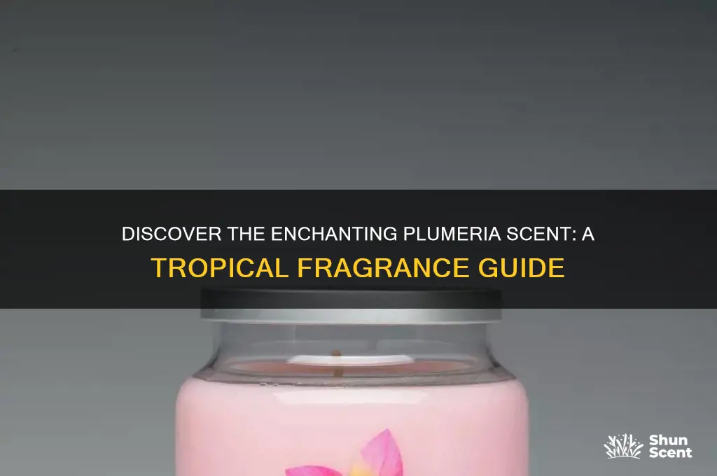 what is plumeria scent