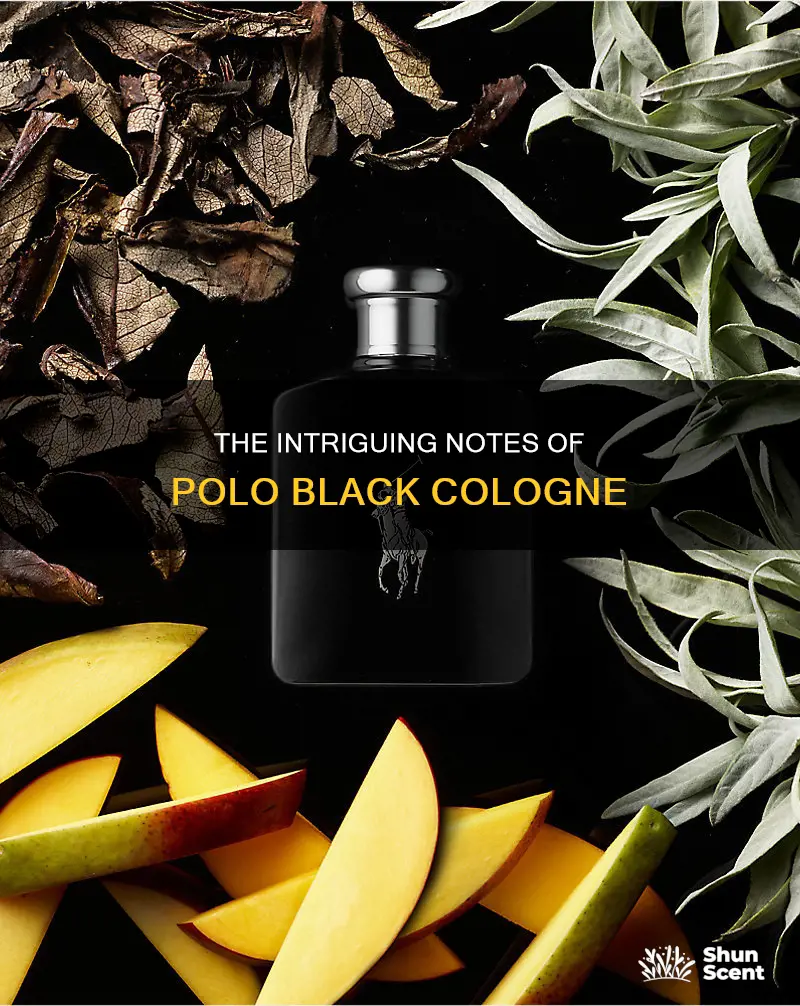 what is polo black cologne made of