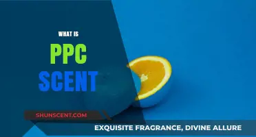 Understanding PPC Scent: Enhancing Ad Relevance for Better Campaign Performance