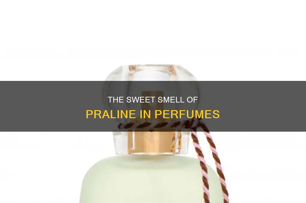 what is praline in perfume