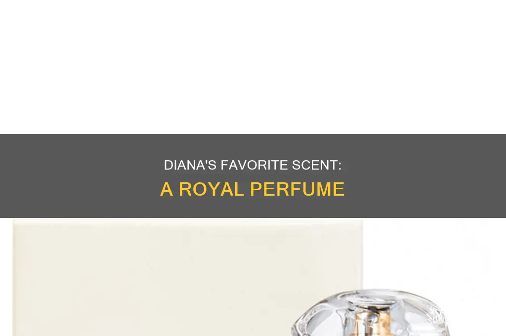 what is princess diana