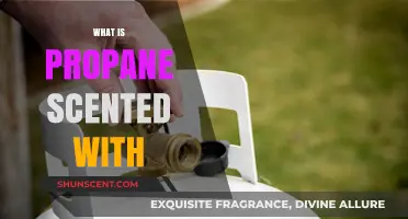 Why Propane Smells Like Rotten Eggs: The Ethyl Mercaptan Factor