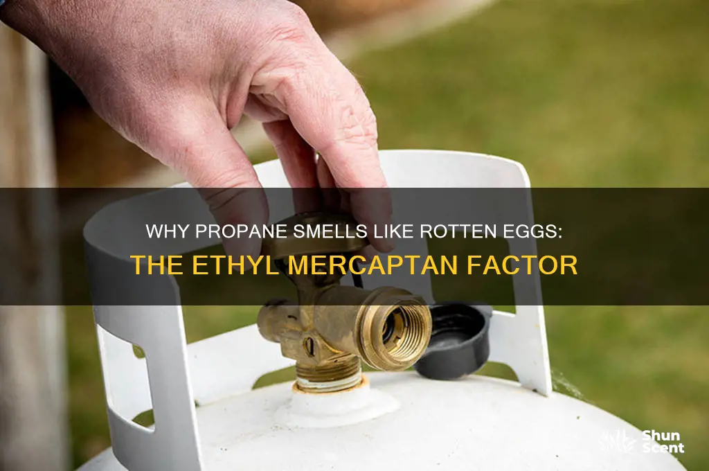 what is propane scented with