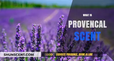 Discover the Enchanting Aromas of Provencal Scent: A Guide