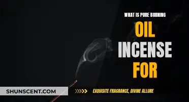 Burning Incense Oil: Purify Your Space and Mind