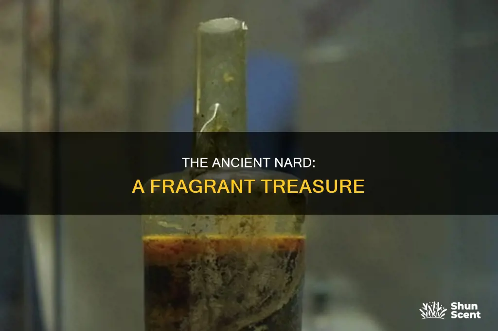 what is pure nard perfume