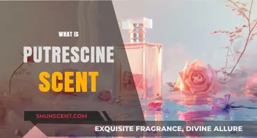 Unveiling the Putrescine Scent: A Deep Dive into Its Origins and Impact