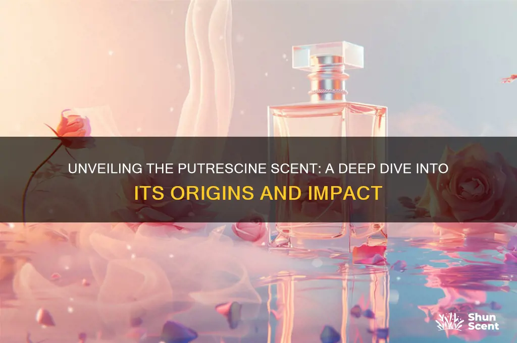 what is putrescine scent