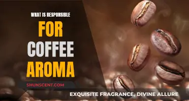 The Chemistry Behind Coffee Aroma