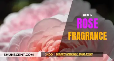 Rose Fragrance: A Complex, Sweet Scent