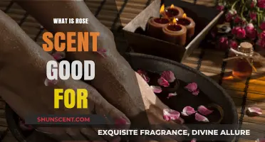 Rose Scent Benefits: Enhancing Mood, Skin, and Well-Being Naturally