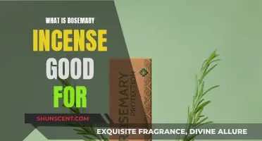 Rosemary Incense: Benefits and Uses