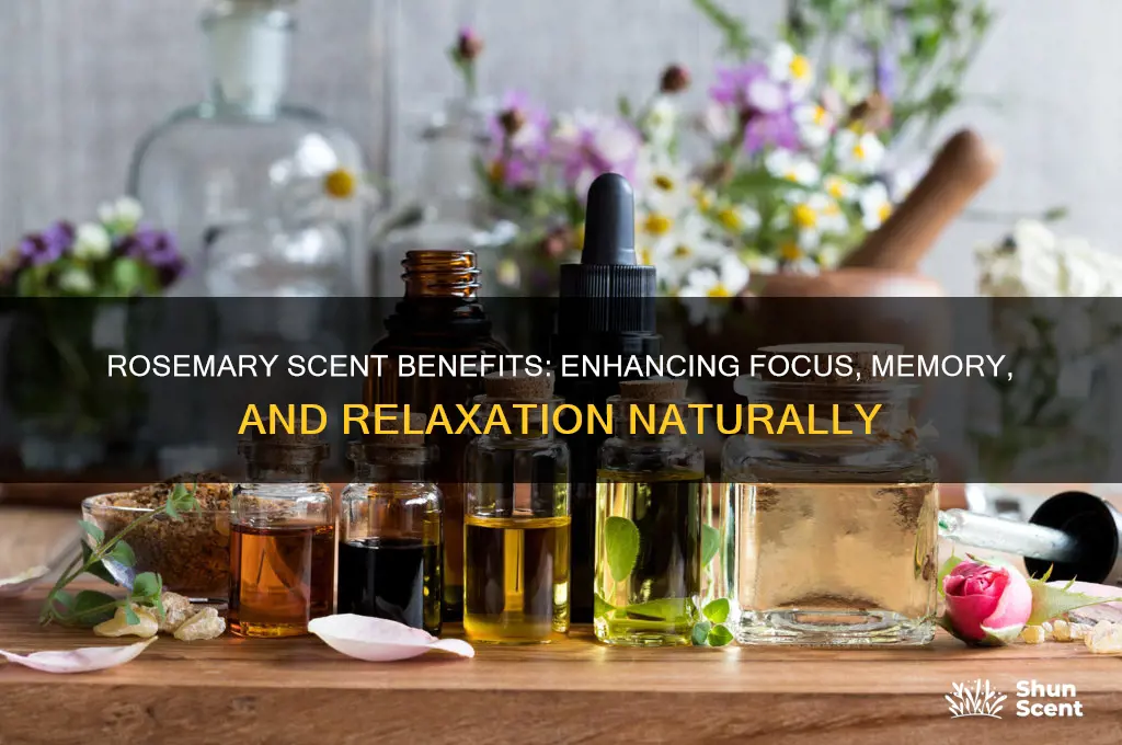 what is rosemary scent good for