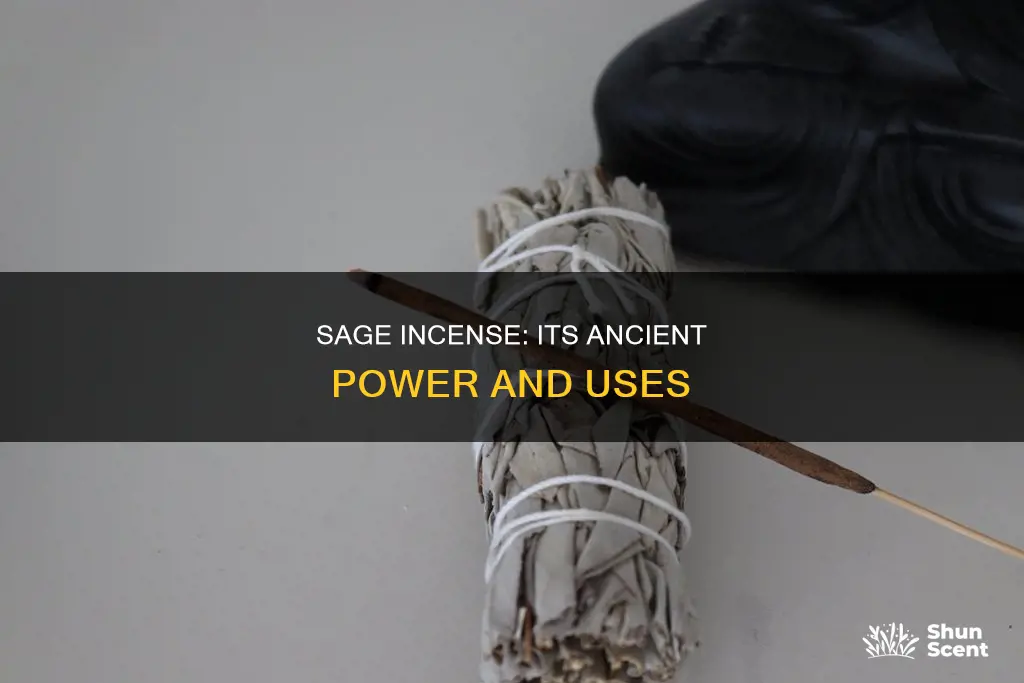 what is sage incense