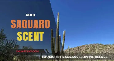 Exploring the Unique and Captivating Aroma of Saguaro Cactus Scent
