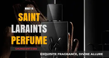 The Allure of Saint Laurent Perfumes: A Guide