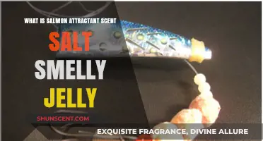 Salmon Attractant Scent Salt Smelly Jelly: Unlocking Fishing Secrets