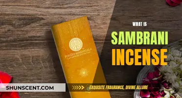 Sambrani Incense: Ancient Aromatic Resin with Healing Properties