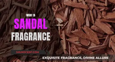 The Alluring Scent of Sandalwood: A Fragrance Guide