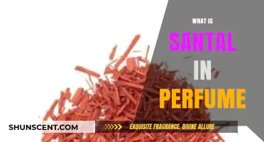 The Warmth of Sandalwood: Santal in Perfumes