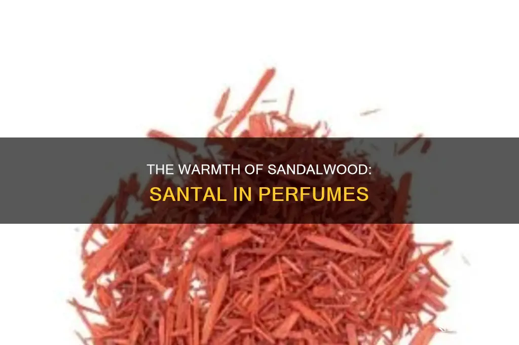 what is santal in perfume