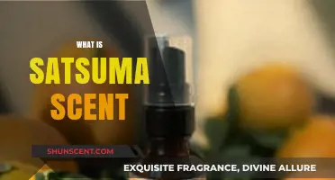 Discover the Sweet, Citrusy Charm of Satsuma Scent