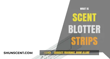 Discovering Scent Blotter Strips: A Beginner's Guide to Fragrance Testing
