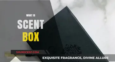 Discover Scent Box: A Monthly Fragrance Subscription Explained