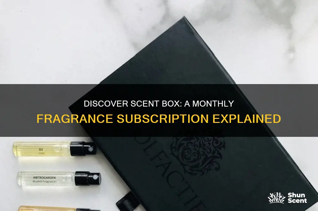 what is scent box