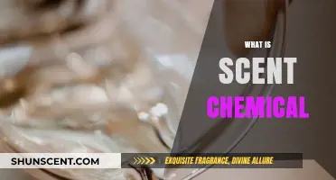 Understanding Scent Chemicals: The Science Behind Fragrances and Aromas