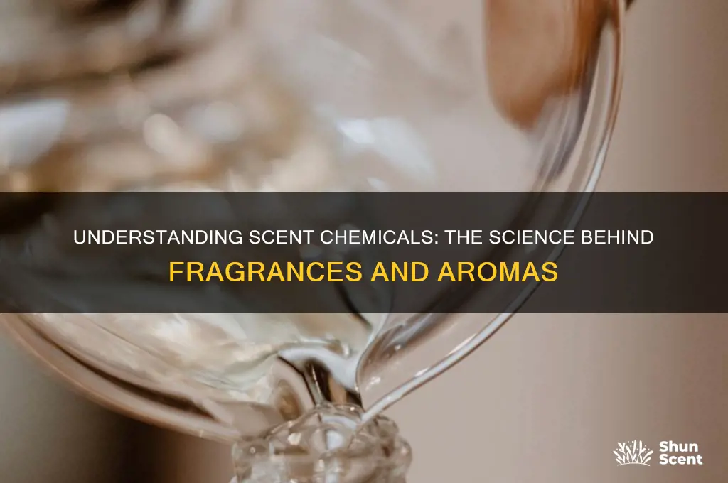what is scent chemical