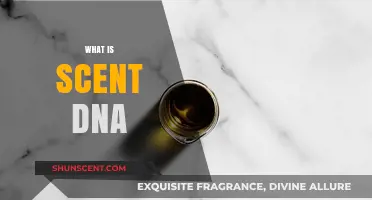 Unveiling the Science Behind Scent DNA: A Unique Olfactory Signature